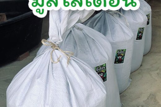 บ้านสวนตั้งสุข | การเก็บรักษามูลไส้เดือน