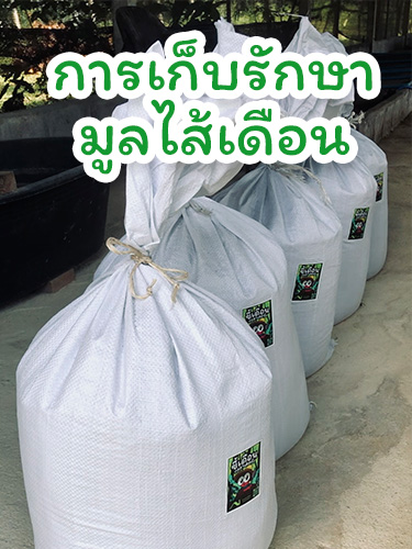 บ้านสวนตั้งสุข | การเก็บรักษามูลไส้เดือน